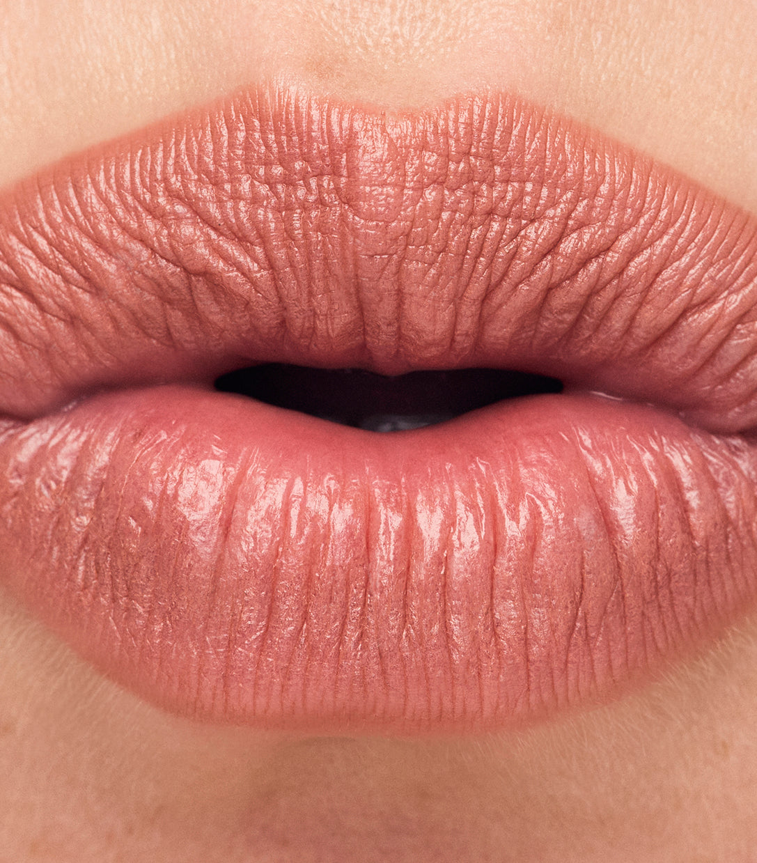 Continuum Lip Liner in Atmospheric