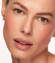 Heat Stroke in Inflamed